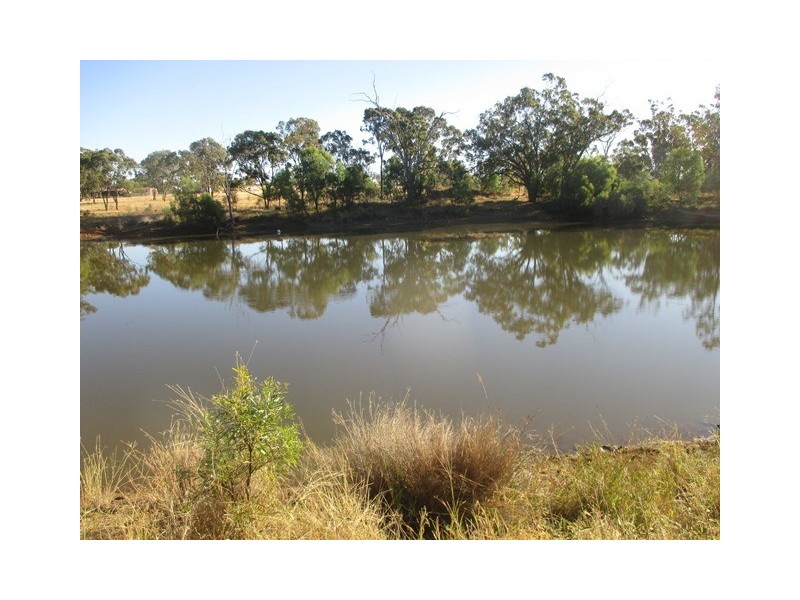 1253 CARNARVON DEVELOPMENTAL ROAD, Orange Hill QLD 4455