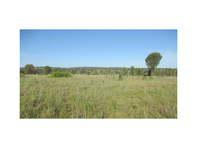 1126 Orallo Road, Roma QLD 4455