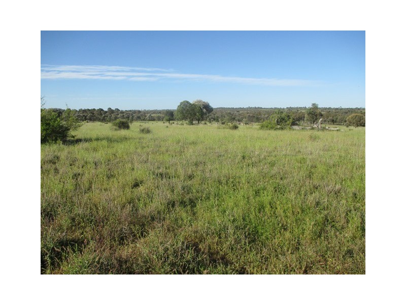 1126 Orallo Road, Roma QLD 4455