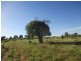 1126 Orallo Road, Roma QLD 4455