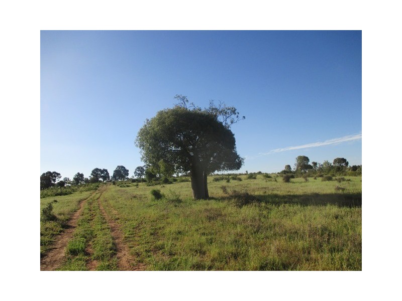 1126 Orallo Road, Roma QLD 4455