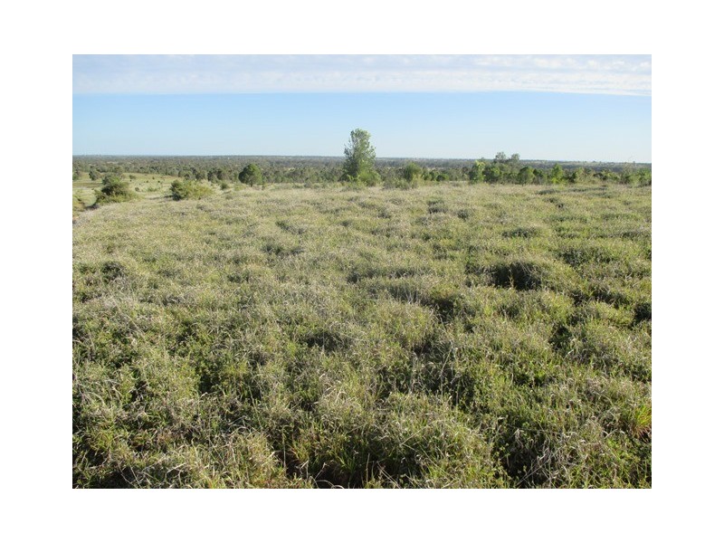 1126 Orallo Road, Roma QLD 4455