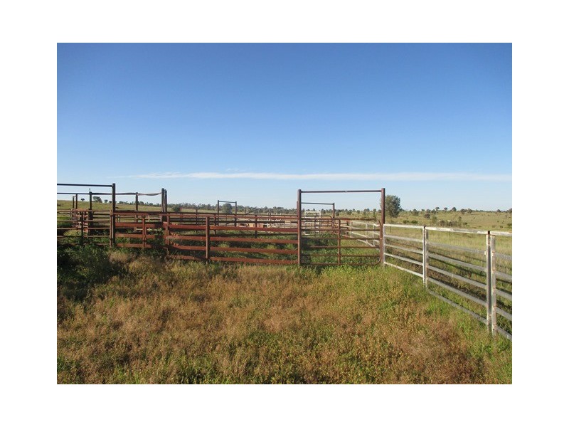 1126 Orallo Road, Roma QLD 4455