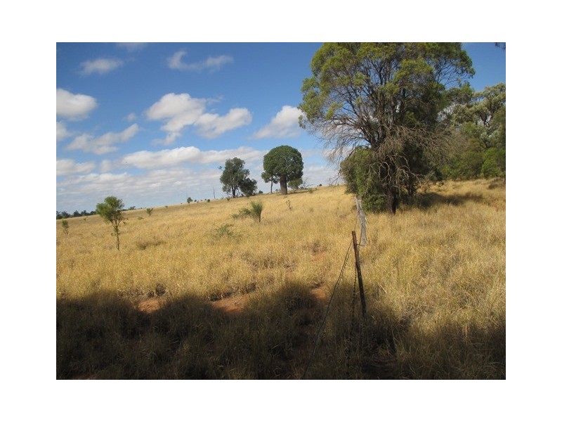 0 WALLUMBILLA NORTH ROAD, Wallumbilla QLD 4428