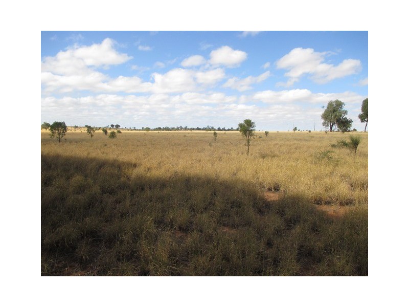 0 WALLUMBILLA NORTH ROAD, Wallumbilla QLD 4428