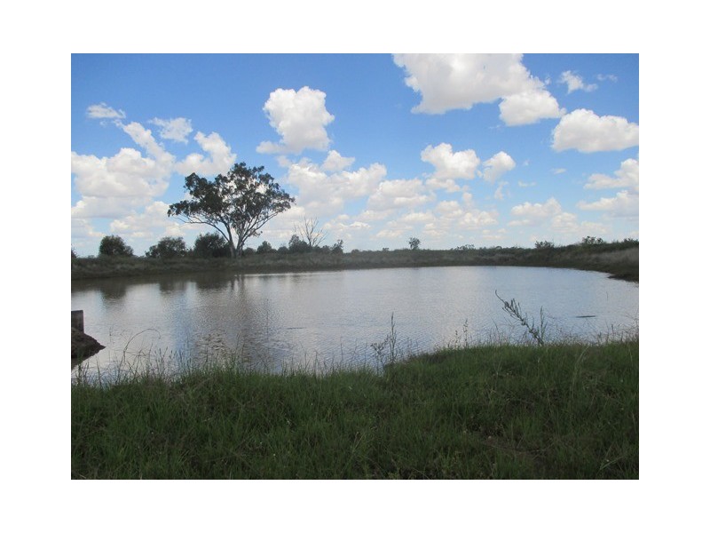 385 SWANS ROAD, Wallumbilla QLD 4428