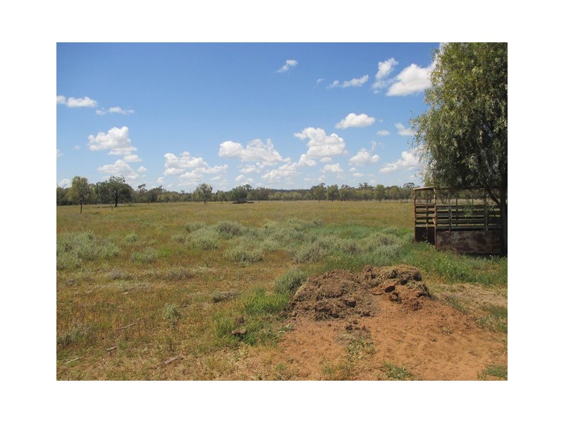 385 SWANS ROAD, Wallumbilla QLD 4428