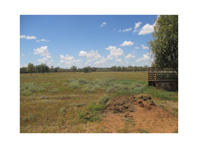 385 SWANS ROAD, Wallumbilla QLD 4428