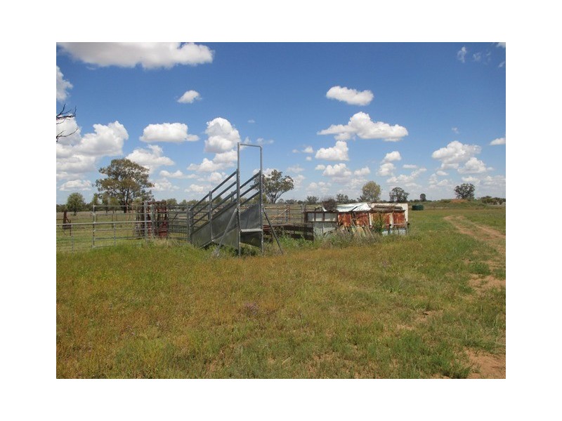 385 SWANS ROAD, Wallumbilla QLD 4428