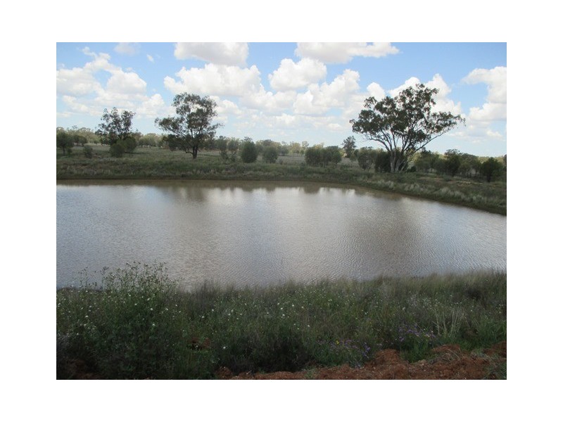 385 SWANS ROAD, Wallumbilla QLD 4428