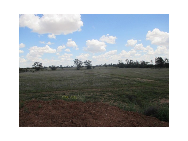 385 SWANS ROAD, Wallumbilla QLD 4428