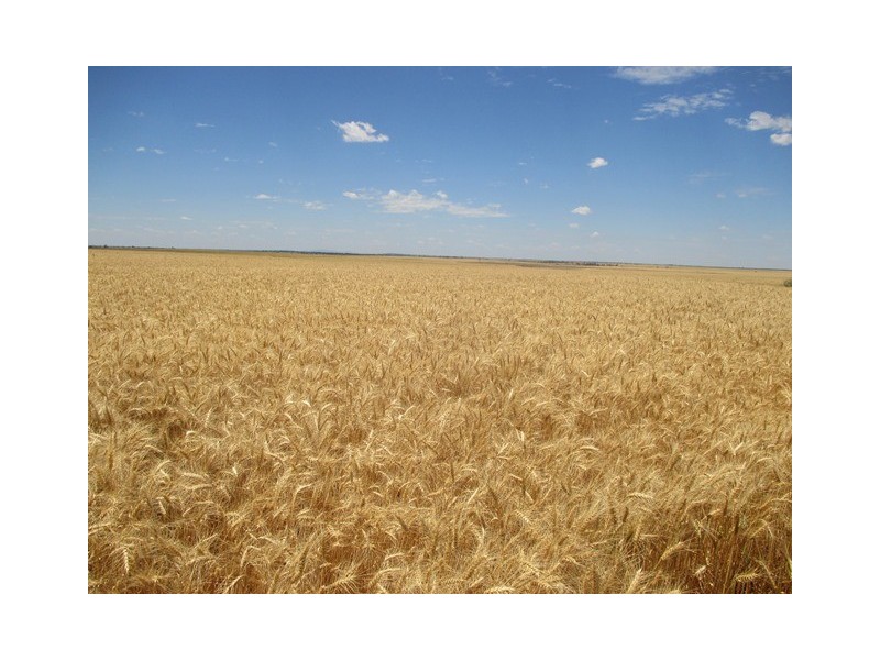 0 Massey Lane, Muckadilla QLD 4461