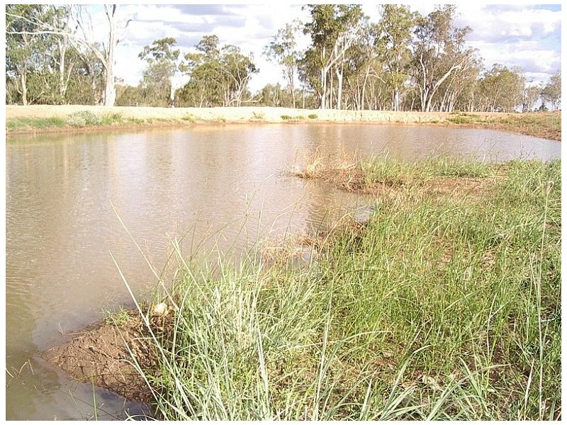 Wallumbilla QLD 4428