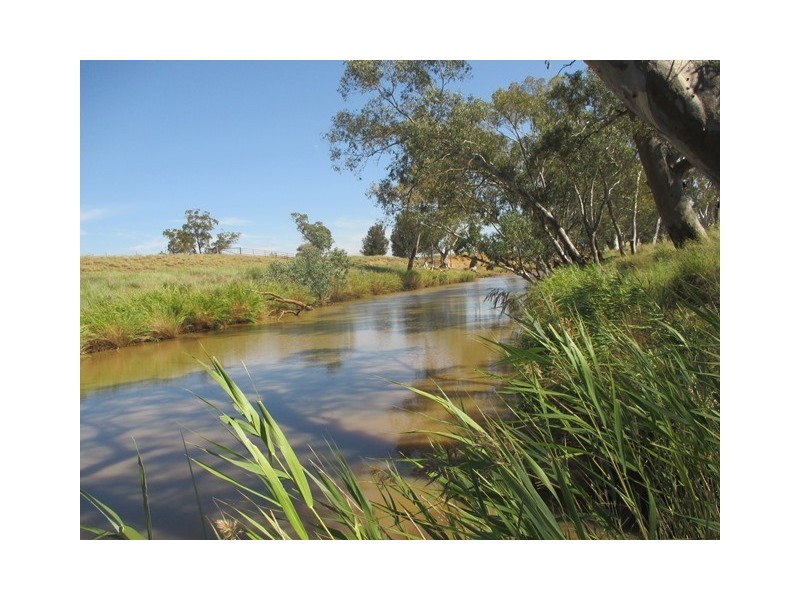 3924 MOUNT ABUNDANCE ROAD, Roma QLD 4455