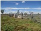 3924 MOUNT ABUNDANCE ROAD, Roma QLD 4455