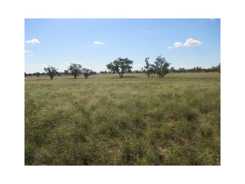 3924 MOUNT ABUNDANCE ROAD, Roma QLD 4455