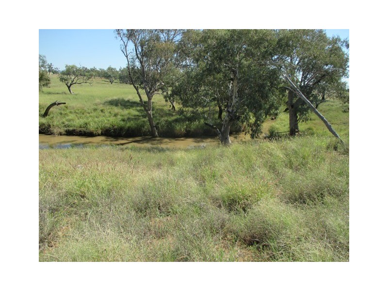 3924 MOUNT ABUNDANCE ROAD, Roma QLD 4455