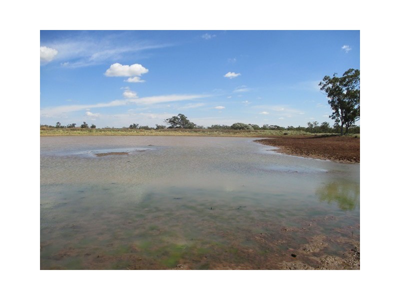 3924 MOUNT ABUNDANCE ROAD, Roma QLD 4455