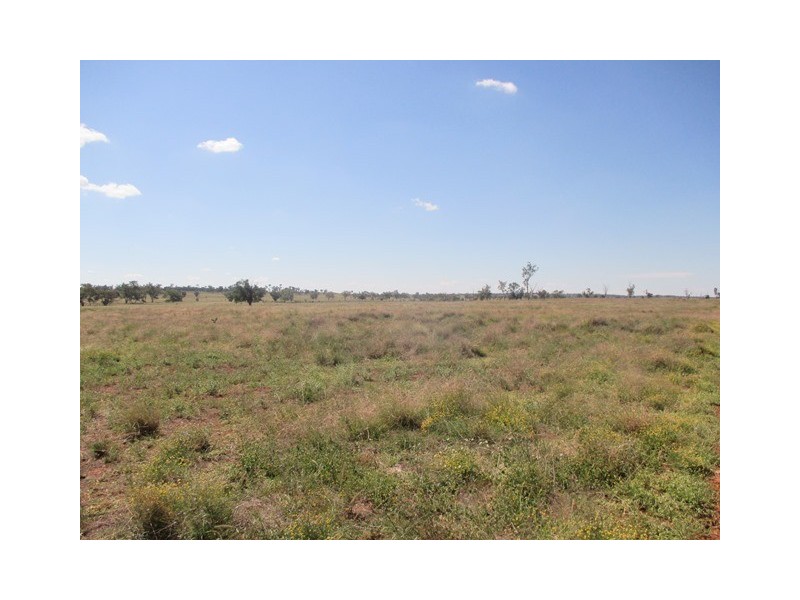 3924 MOUNT ABUNDANCE ROAD, Roma QLD 4455