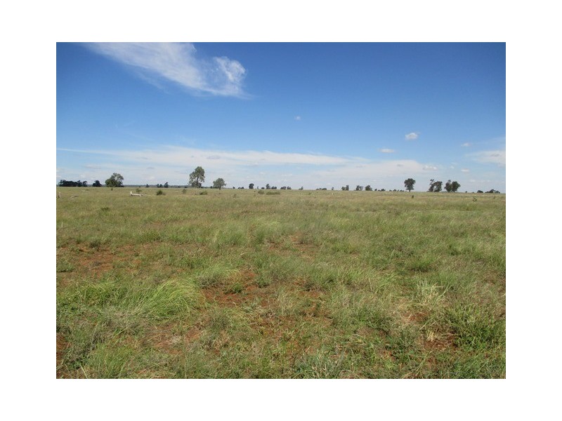 3924 MOUNT ABUNDANCE ROAD, Roma QLD 4455