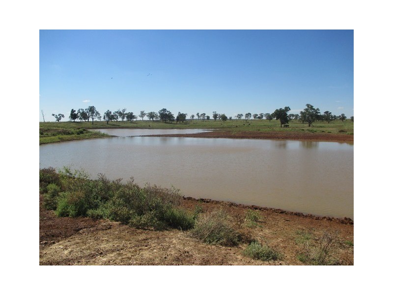 3924 MOUNT ABUNDANCE ROAD, Roma QLD 4455