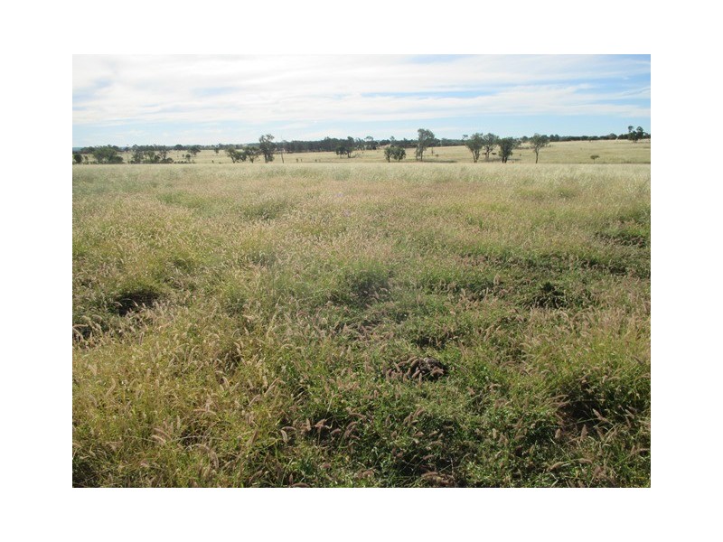 0 Orallo Road, Roma QLD 4455