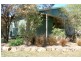 Roma QLD 4455