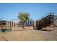 414 BINDANGO ROAD, Hodgson QLD 4455