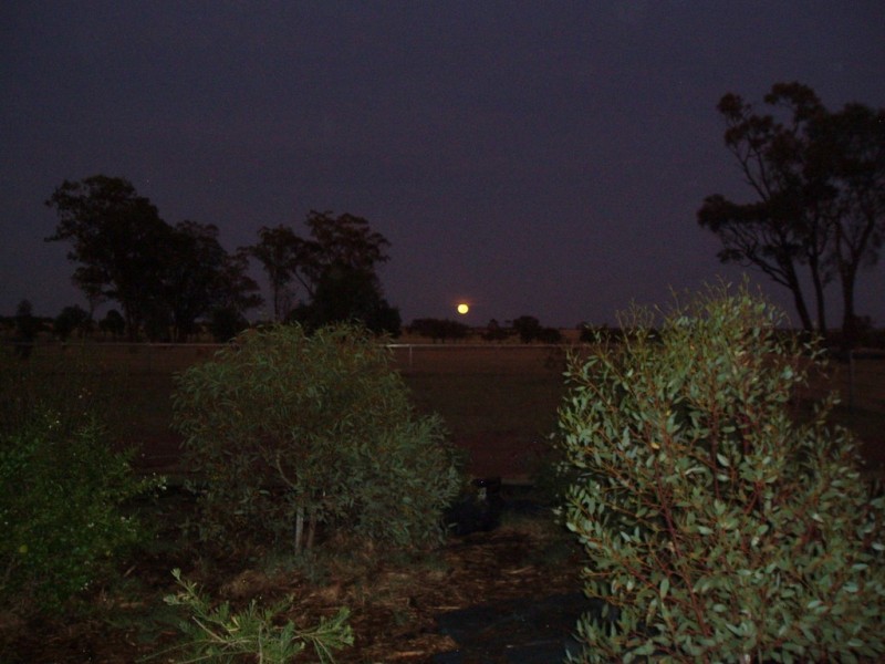 115 ROSEDALE ROAD, Orange Hill QLD 4455