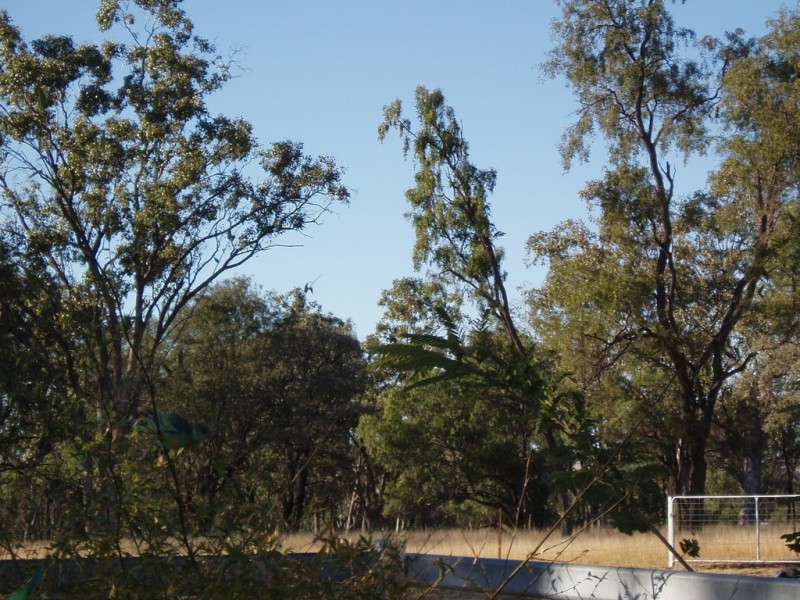 115 ROSEDALE ROAD, Orange Hill QLD 4455