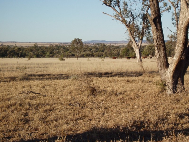 115 ROSEDALE ROAD, Orange Hill QLD 4455