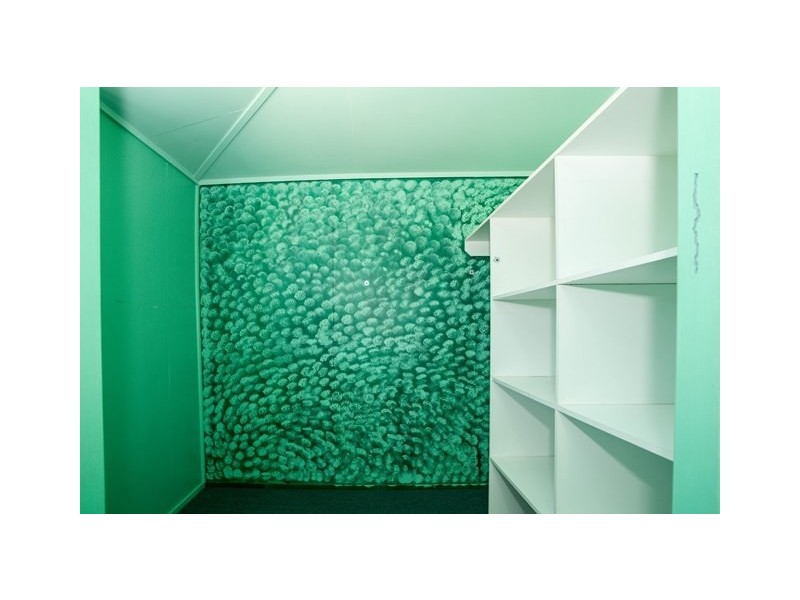 8 QUINTIN STREET, Roma QLD 4455