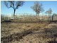 Roma QLD 4455