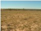 Roma QLD 4455