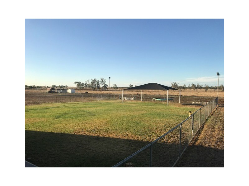 31 HENRY STREET, Roma QLD 4455