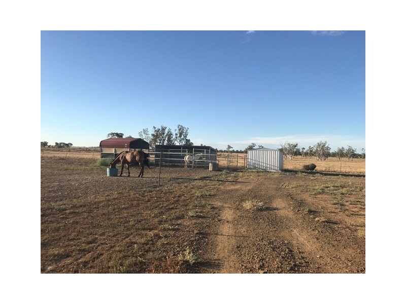 31 HENRY STREET, Roma QLD 4455