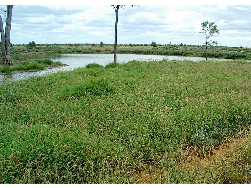 Roma QLD 4455