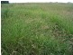 Roma QLD 4455
