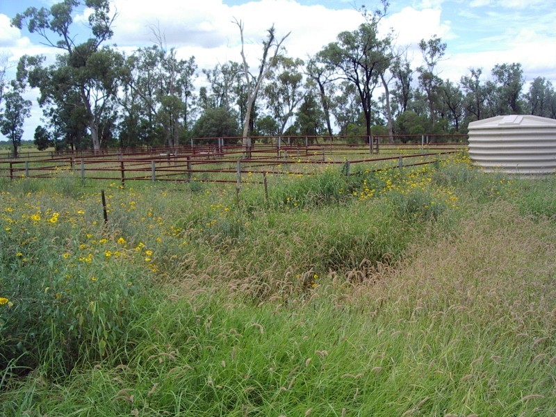 Roma QLD 4455