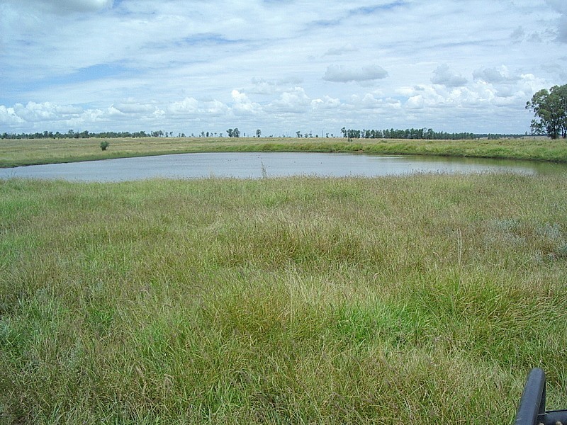 Amby QLD 4462