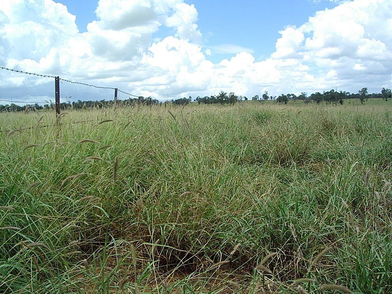 Amby QLD 4462