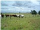 Amby QLD 4462