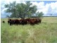 Amby QLD 4462