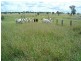 Amby QLD 4462