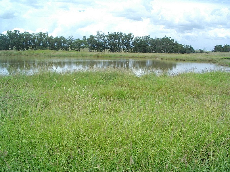 Amby QLD 4462