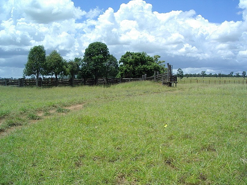 Amby QLD 4462