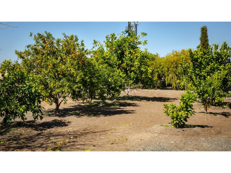 144 BOURNE DRIVE, Roma QLD 4455