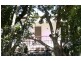 78 Bowen Street, Roma QLD 4455