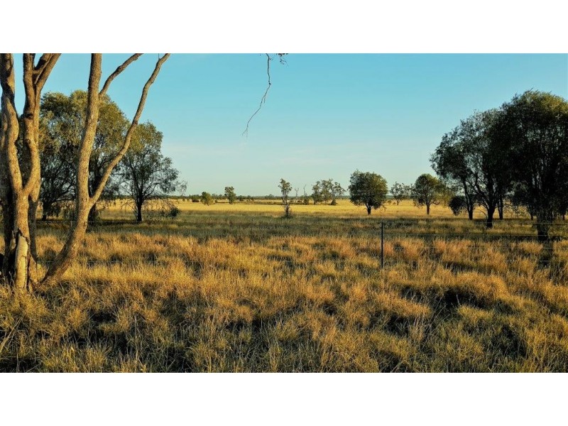 Lot 109 BASSETT LANE, Roma QLD 4455