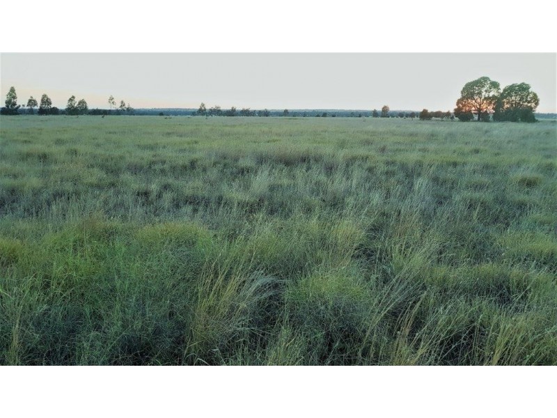 Lot 109 BASSETT LANE, Roma QLD 4455